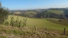 Terreno Agricolo in vendita a Monsampolo del Tronto in contrada collelungo - 02, Foto 2
