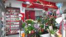 Locale commerciale in vendita a Folignano in piazza l. dari 23 - 04, Foto 4