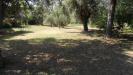 Terreno Edificabile in vendita a Sant'Egidio alla Vibrata in via raffaello - 04, Foto 4