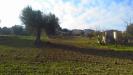 Terreno Agricolo in vendita a Monteprandone in contrada bora ragnola - 02, Foto 2
