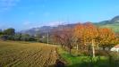 Terreno Agricolo in vendita a Monteprandone in contrada bora ragnola - 03, Foto 3