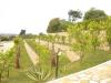 Villa in vendita con giardino a Colonnella in contrada rio moro - 06, Foto 6