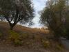 Terreno Agricolo in vendita a Castorano in contrada san silvestro - 04, Foto 4