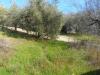 Casa indipendente in vendita con giardino a Monteprandone in san donato - 05, Foto 5