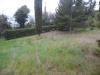 Terreno Edificabile in vendita a Spinetoli in via ferretti - 03, Foto 3
