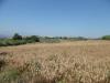 Terreno Edificabile in vendita a Monteprandone in contrada san donato - 03, Foto 3