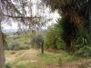 Terreno Agricolo in vendita a Monteprandone in via borgo da sole - 03, Foto 3