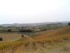 Terreno Agricolo in vendita a Monteprandone in contrada colle appeso - 03, Foto 3
