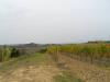 Terreno Agricolo in vendita a Monteprandone in via colle appeso - 03, Foto 3