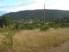 Terreno Edificabile in vendita a Civitella del Tronto in collevirt - 03, Foto 3
