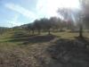 Terreno Agricolo in vendita a Controguerra in contrada coste tronto - 04, Foto 4