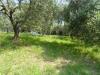 Casa indipendente in vendita con giardino a Colonnella in contrada fonte ottone - 10, Foto 10