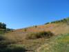 Terreno Agricolo in vendita a Monteprandone in via monterone - 07, Foto 7