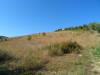 Terreno Agricolo in vendita a Monteprandone in via monterone - 08, Foto 8