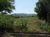 Terreno Agricolo in vendita a Spinetoli in via sciacquatoio - 03, Foto 3