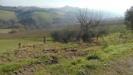 Terreno Agricolo in vendita a Monsampolo del Tronto in contrada collelungo - 03, Foto 3