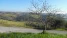 Terreno Agricolo in vendita a Monsampolo del Tronto in contrada collelungo - 08, Foto 8