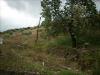 Terreno Agricolo in vendita a Colonnella in contrada san giovanni - 09, Foto 10