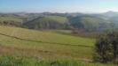 Terreno Agricolo in vendita a Monsampolo del Tronto in contrada collelungo - 04, Foto 4