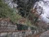 Casa indipendente in vendita con giardino a Poggio San Marcello in via montecarottese 85 - 04, 4b0a359b-7f5d-4d96-b9e4-837f75006ffe.jpg