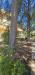 Casa indipendente in vendita con giardino a Monsano in via sant'ubaldo snc - 02, 1000153843