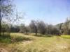 Terreno Agricolo in vendita a Castelfranco di Sotto - 05