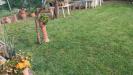 Appartamento in vendita con giardino a Montelupo Fiorentino - 06