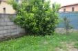 Appartamento in vendita con giardino a Vecchiano - migliarino - 03