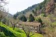 Rustico in vendita con giardino a San Giuliano Terme - molina di quosa - 02