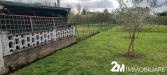 Casa indipendente in vendita con giardino a San Giuliano Terme - arena metato - 03