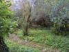 Casa vacanza in vendita con giardino a Buti - cascine - 04
