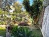Appartamento in vendita con giardino a San Remo - 04, GIARDINO