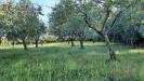 Terreno in vendita a Rosignano Marittimo - rosignano solvay - 02
