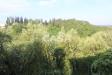 Casa indipendente in vendita con giardino a Montopoli in Val d'Arno - marti - 03