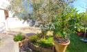 Casa indipendente in vendita con giardino a Santa Maria a Monte - 06