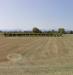 Terreno Agricolo in vendita a Formigine in via bassa paolucci - 02, Foto 2