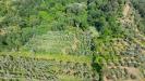 Terreno Agricolo in vendita a San Miniato - balconevisi - 02