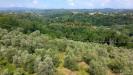 Terreno Agricolo in vendita a San Miniato - balconevisi - 03
