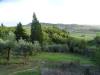 Terreno Agricolo in vendita a San Miniato - calenzano - 03