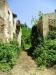 Rustico in vendita con giardino a San Miniato - corazzano - 06