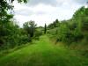 Terreno Agricolo in vendita a San Miniato - 03