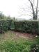 Appartamento in vendita con giardino a San Miniato - 03