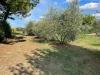 Casa indipendente in vendita con giardino a Castelfranco di Sotto - 02