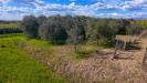 Terreno Agricolo in vendita a San Miniato - 03