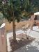 Appartamento in vendita con giardino a Porto Azzurro - 10, Foto 10