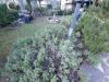 Casa indipendente in vendita con giardino a San Godenzo in via del borbotto snc - 05, Foto 5
