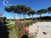 Casa indipendente in vendita con giardino a Cecina in via metauro 10 - 03, Foto 3