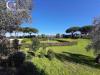 Casa indipendente in vendita con giardino a Cecina in via metauro 10 - 06, Foto 6