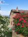 Villa in vendita con giardino a Monte San Savino in via pastina - 06, in the summer