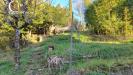 Villa in vendita con giardino a Bagno a Ripoli in via pian di grassina 144 - 05, Foto 5
